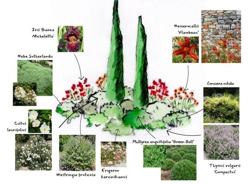 Palette-vege-cypres-e1768941051601
