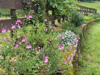 Une palissade-jardin – Tarn