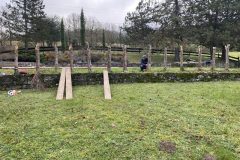 IMG_2340