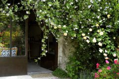 Maison_du_Gard_2